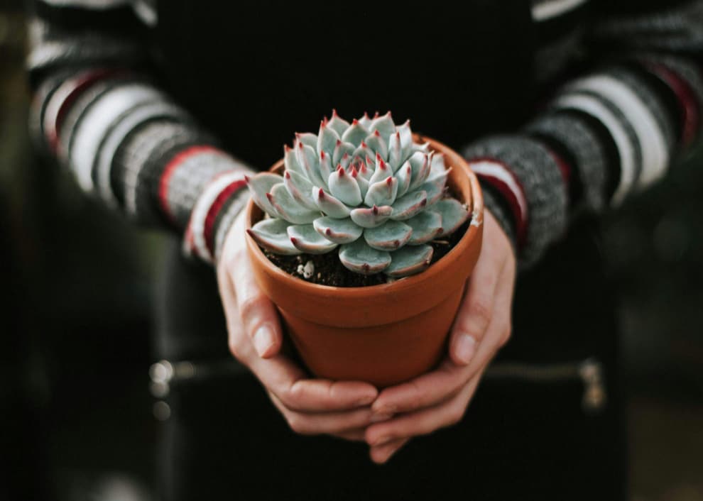 Screenshot 2026-02-02 112225.png